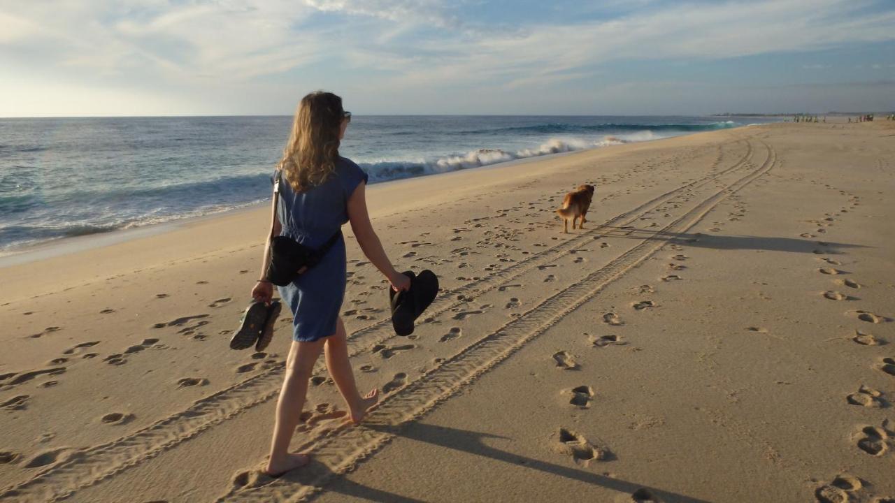 Beachfront Charming 1 Bdr 1 Bth ティファナ エクステリア 写真